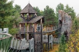 The Wild Center